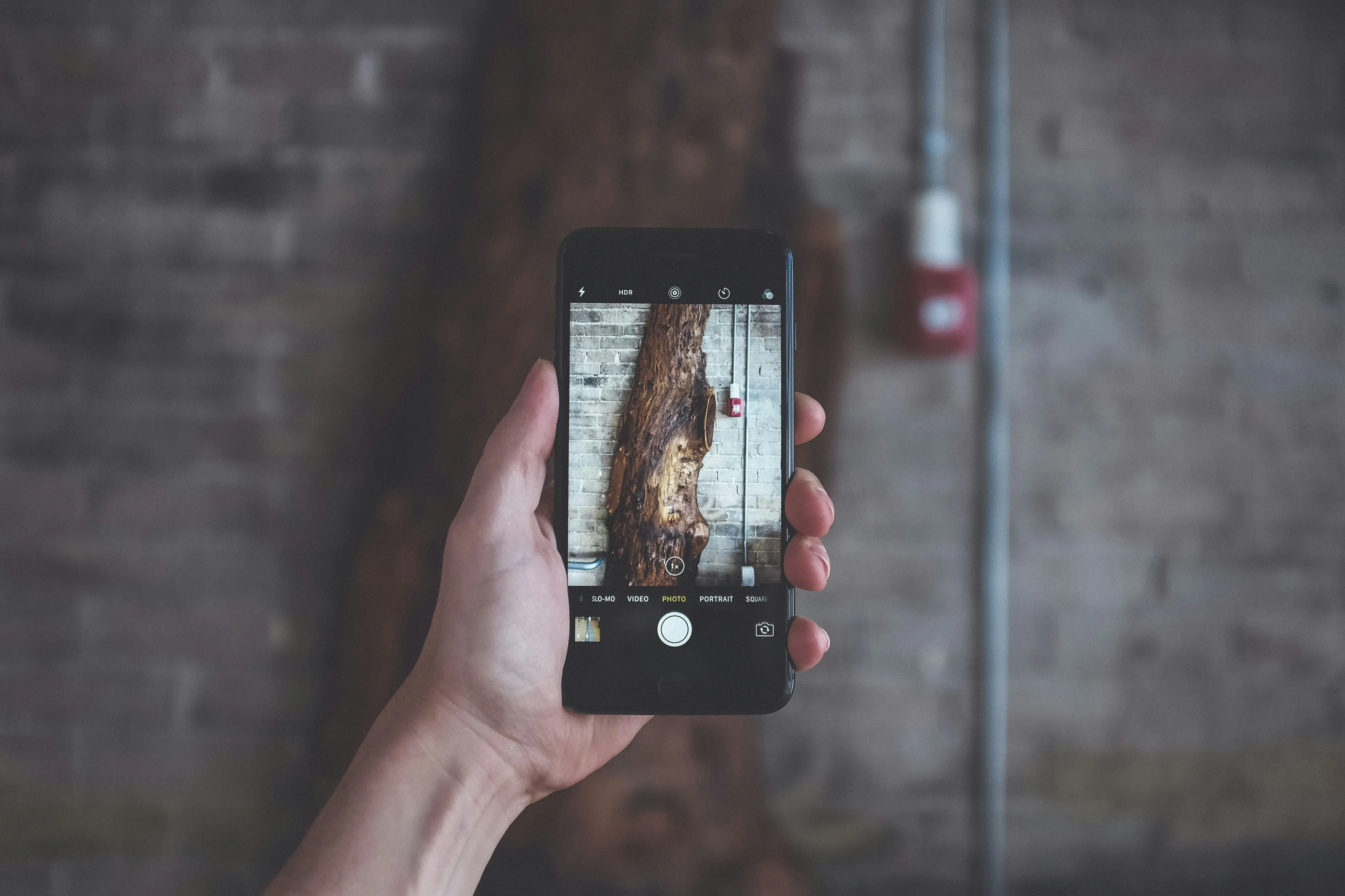 Web responsive y multiidioma en WordPress: ventajas reales para negocios con clientes extranjeros